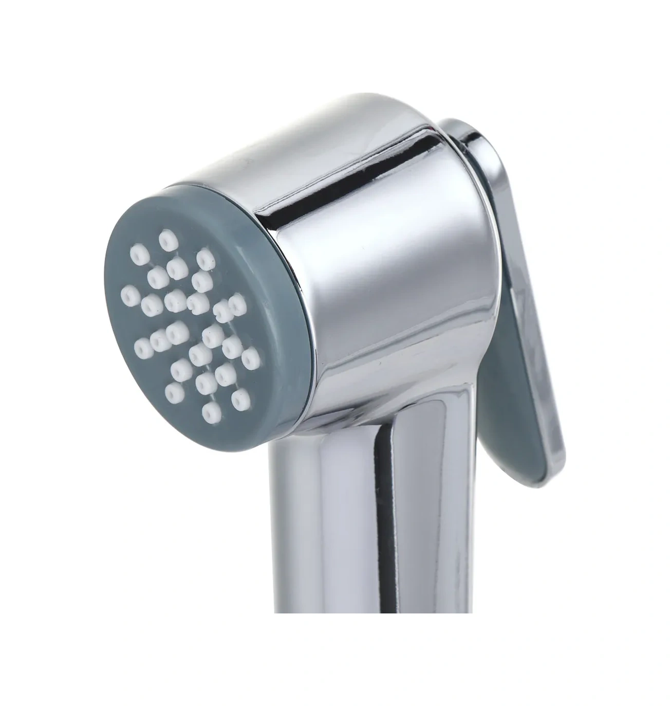 Rain Hijyenik Duş Başlığı 395828900 Çelik