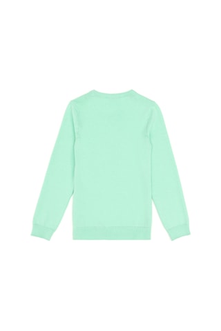 U.s. Polo Assn. Erkek Çocuk Mint Kazak /triko 50294188-vr090