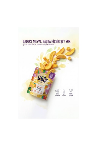 Lyofit Food Freeze Dried Mango 20 G