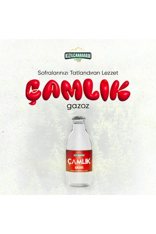 Kızılcahamam Çamlık Gazoz 200 Ml X 24 Adet