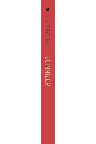 Ecinniler: Rus Edebiyatı ve Okurlarıyla Maceralar - Elif Batuman - Can Yayınları