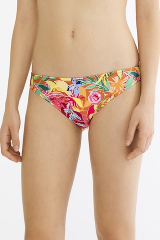 Penti Çok Renkli Flory Slip Bikini Altı