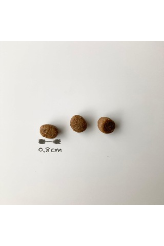 Lıder Low Grain Kuzu Etli Ve Yaban Mersinli Mini Ve Küçük Irk Yetişkin Köpek Maması 2,5kg