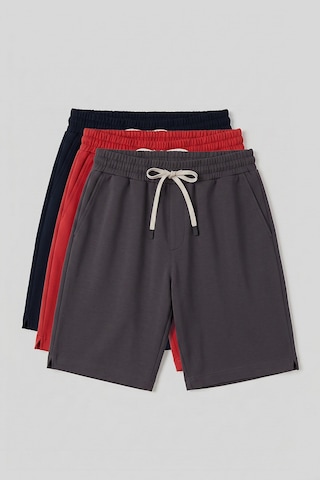 TOMMYLIFE Standart Fit 3lü Paket Lacivert-koyu Gri-fiesta Erkek Şort - 81314