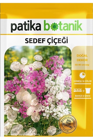 30 Adet S edef Çiçeği Tohumu (Lunaria Biennis)