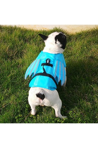 Suntek Saplı Köpek Can Yeleği Plaj Tekne Gezisi Için Mavi-s