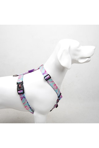 Bubbles H-tipi Göğüs Tasması Ayarlanabilir, Konforlu Ve Dayanıklı Desenli Köpek Tasması XS
