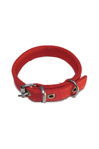 Kedi̇ - Köpek Tasmasi 40 CM