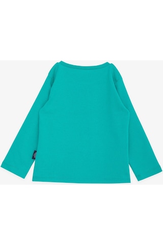 Breeze Girls & Boys Erkek Çocuk Uzun Kollu Tişört Basic 1-4 Yaş, Yeşil-yeşil Yeşil