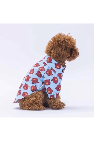 Pawstar Bear Kedi Köpek Gömleği