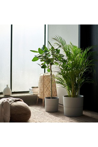 Plastik Saksı, Gri, 24 Cm 25 Cmx50 Cm 1 Kg