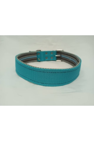 Kozaklı 10476 Büyük Irk Köpek Tasması Turkuaz 70 x 4 CM