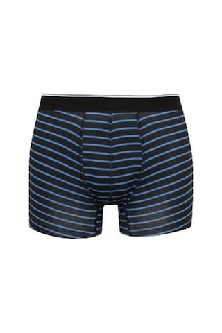 DeFacto Regular Fit Çizgili 3'lü Boxer C9573AX24CWBK81