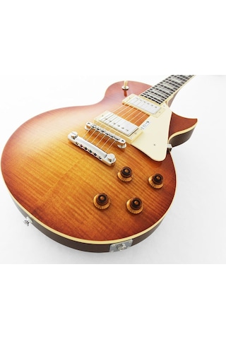 Fujigen Neo Classic Elektro Gitar Ncls-30r-bf/vv