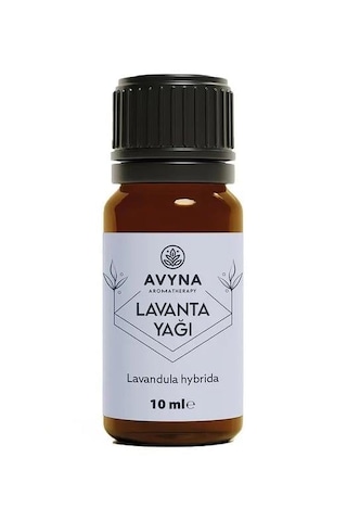 Reyo 3'lü Çamaşır Yün Kurutma Topu + %100 Saf Lavanta Esansı Hediye Krem
