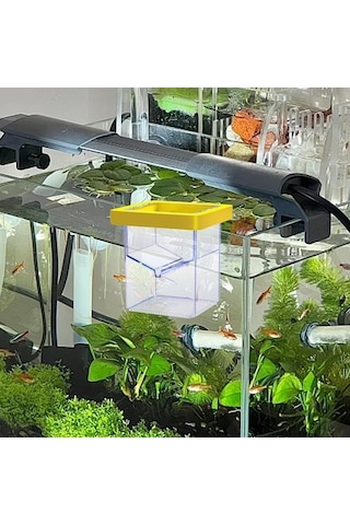 Suntek Yüzen Balık Yetiştirici Kutusu Palyaço Balığı