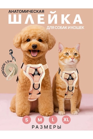 Tori Küçük Ve Orta Irklar İçin Tasmalı Köpek Kayışı Ve Kedi Şeridi 481285191
