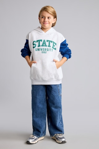 Defacto Overshırt Fıt Kapüşonlu İçi Yumuşak Tüylü Kalın Sweatshirt Erkek Çocuk I3178a826wngr400 Gri-gr400