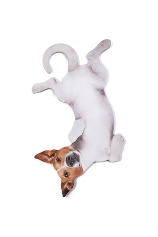 Mustard Dog -Asılabilir - Notluk