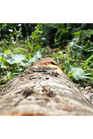 Tria Pırlanta Modern Evlilik Teklifi-Minimal Tasarım Hediye-14 Ay 552950079