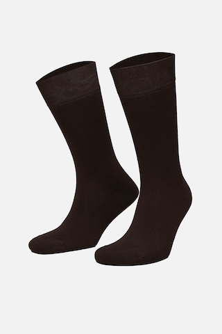 Mısırlı Erkek Organik Pamuklu Tekli Kahverengi Soket Çorap M 60000 Kh Kahve