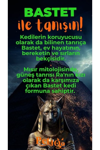 Petjoo 1.Bastet Turuncu-Yeşil Qr'lı Kedi Künyesi
