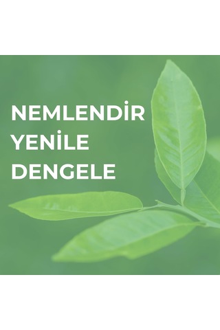 Licape-besleyici Gece Maskesi Çay Ağacı Özlü 50ml Sku: Smg8690010492708