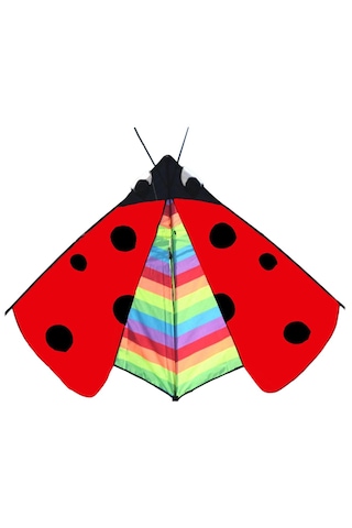 Suntek Delta Kite Fly Uçurtma Spor Bahçesi Için Büyük Kanat