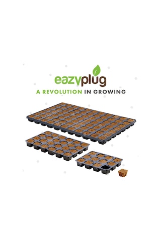 Eazy Plug Tohum Ekim Viyolü 2 5x2 5x3 Cm 150 Göz