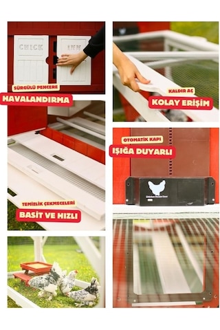 Mandu Ahşap Bahçeli Tavuk/kuş Kümesi Mini Çiftlik