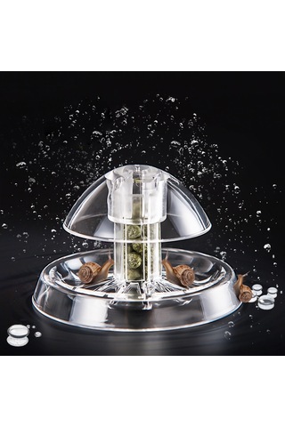 Xindoker Akvaryum Salyangoz Yakalayıcı: Zararsız Kimyasallar Kullanmadan Hızlı Ve Kolay Yakalama, 6cm Plastik Tuzak.