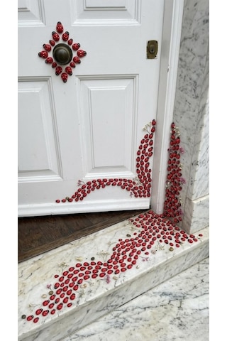 Mucit Home 50 Adet Uğur Böceği Mini Kapı Süsü Aile İsmine Özel Sayıda -çok Amaçlı Kullanım Kırmızı