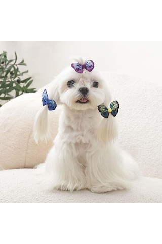 M-pets Glam Kelebekli Kedi Ve Köpekler İçin Aksesuar Toka Mavi Mor Ve Yeşil Mor