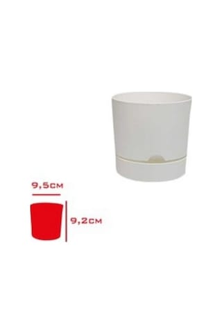 Polıwork Saksı Begonya 9 Cm Beyaz