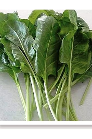 Agrodal Tarım Ata Tohumu Yerli Pazı Sarma 100 Adet Tohum