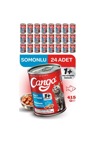 Cango Yetişkin Yaş Kedi Maması Somonlu 415gr 24lü