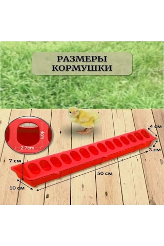 Pazly Çivciv Ve Kümes Hayvanları İçin Gözenekli Yemlik, Uzun Besleme Yalağı, 50cm, Plastik