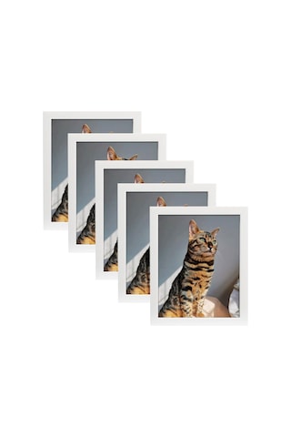 Gajeena 8 İnç 5'li Foto Çerçeve Seti - Duvar & Masaya Yerleştirilebilir - Dayanıklı Organik Plastik Cam - Ev Ofis Dekorasyonu