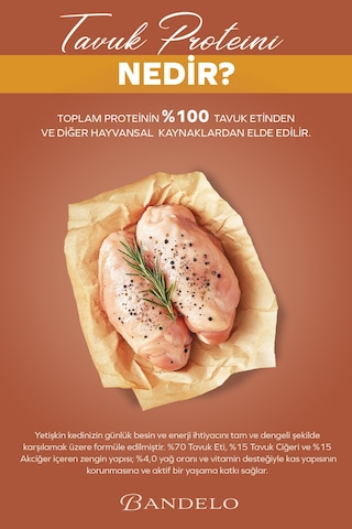 Tavuklu Yetişkin Yaş Konserve Kedi Maması - %100 Hayvansal Protein Jöleli Parça Etli, 400gr X 12 Adet