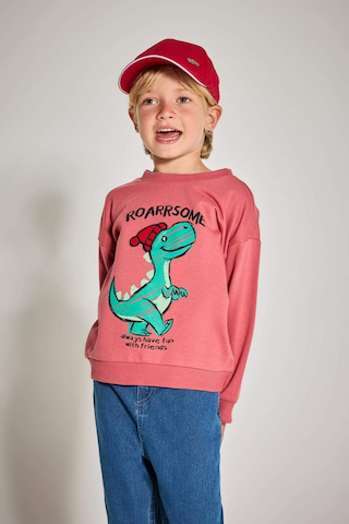 Defacto Erkek Bebek Bisiklet Yaka Dinozor Baskılı İçi Yumuşak Tüylü Sweatshirt F4531a525aubr116 Bordo