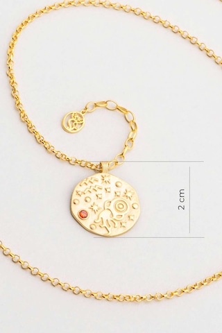 Kova Burcu 18 Ayar Sarı Altın Kaplama 45 Cm Gümüş Kolye Sarı