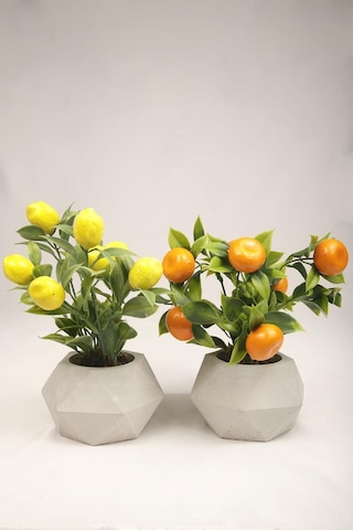 Yapay Bitki Geometrik Beton Saksıda Dekoratif Limon Ve Portakal Ağacı Tanzimi Turuncu-sarı-beyaz