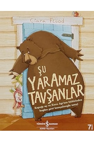Şu Yaramaz Tavşanlar + Odysseia + Simyacı + Masal Masal İçinde + 28 Kitap