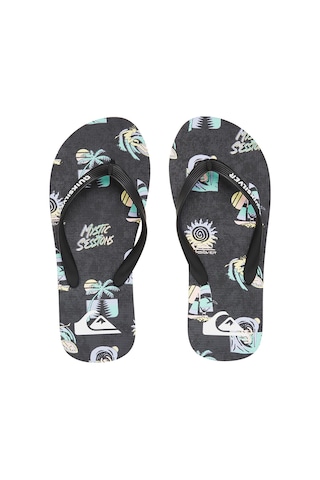 Quiksilver Molokai Art Çocuk Sandalet Gri Gri