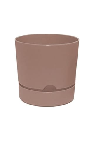 Polıwork Saksı Begonya 15 Cm Krem