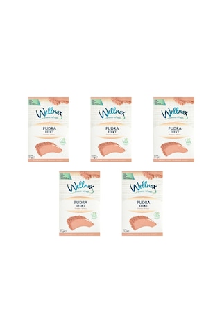 Wellnax Pudra Efekti Dolap ve Çekmece Kokusu Kesesi 5 x 21 G