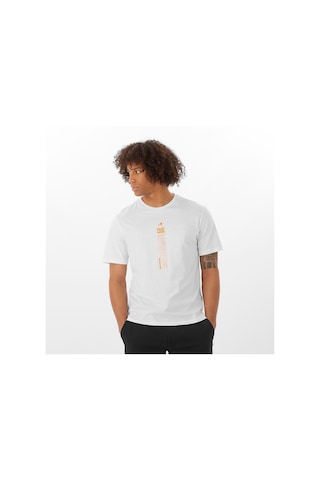 Salomon Golden Traıl Erkek Tişört White Lc2259900 Beyaz