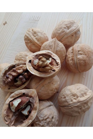 İnce Kabuk Esmer Yağlı Ceviz 1 KG