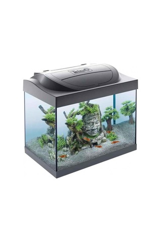 Tetra Starter Line Led Akvaryum Seti 30lt Siyah
