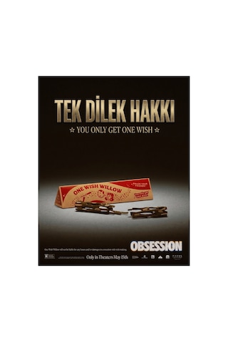 Obsession One Wish Willow Dilek Çubuğu Bir Dilek Hakkı Niyet Ve Manifestasyon Çubuğu Kutulu Anlamlı Obsession One Wish Willow Dilek Çubuğu Bir Dilek Hakkı Niyet Ve Manifestasyon Çubuğu Kutulu Anlamlı